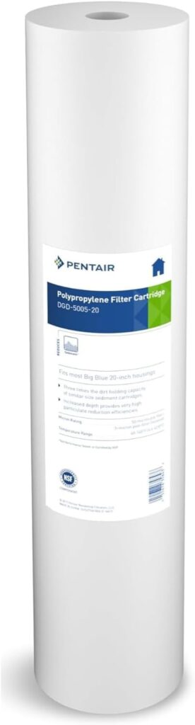 Pentair Pentek DGD-5005-20 Big Blue Water Filter